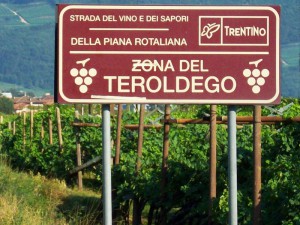 1251372879D_02-5389-teroldego