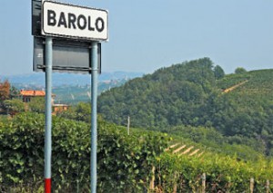 barolo-324x230